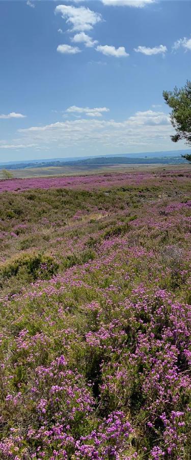 Floyter House North Yorkshire Moors National Park Bed & Breakfast Danby Ngoại thất bức ảnh